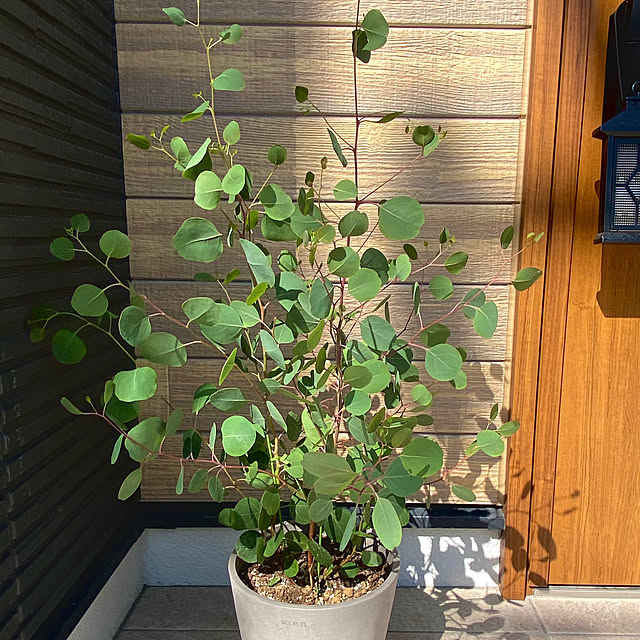 marumori_homeさんの部屋