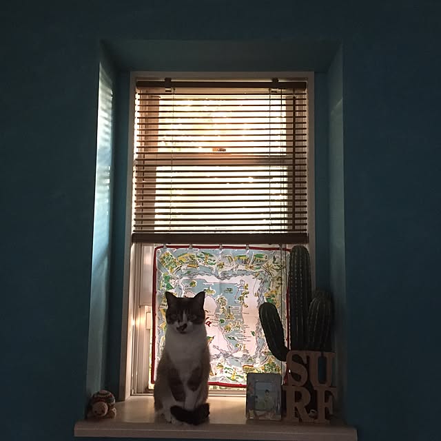 bowbowcoさんの実例写真