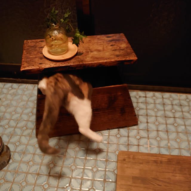 fukuさんの実例写真