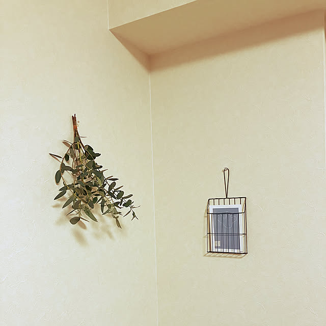 16satukiさんの実例写真