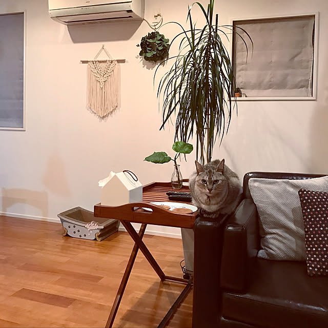 maroさんの実例写真