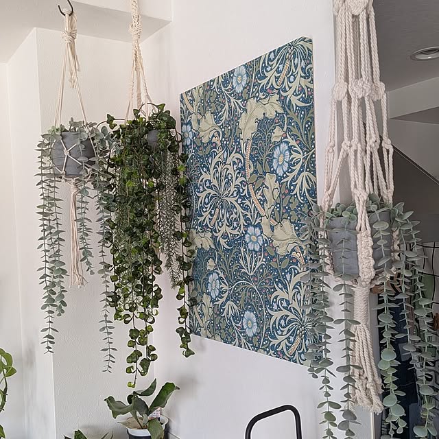 kazueさんの実例写真