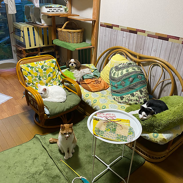 SHIHOさんの実例写真