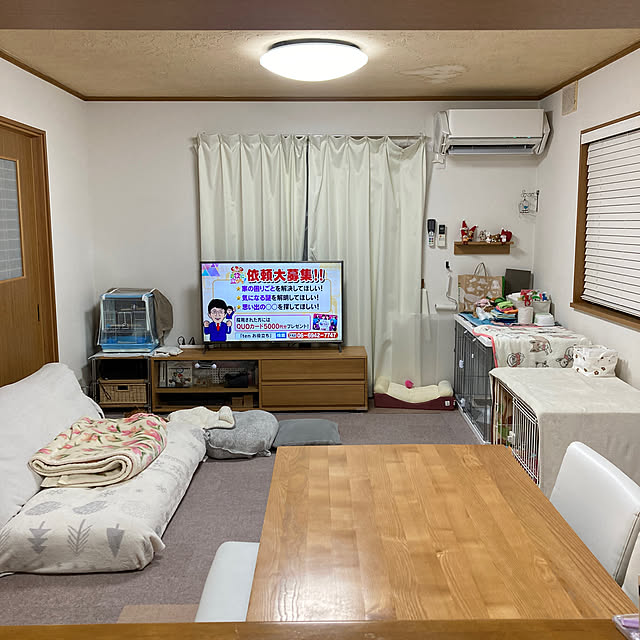 DailyRoomclip