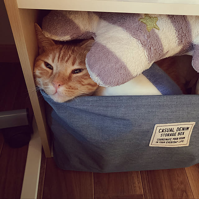 Kanaさんの実例写真