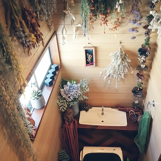 バス/トイレ/DIY/観葉植物/100均/多肉植物...などのインテリア実例 - 2019-01-26 17:46:39