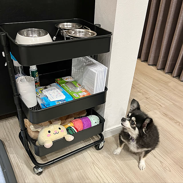 Hannahさんの実例写真