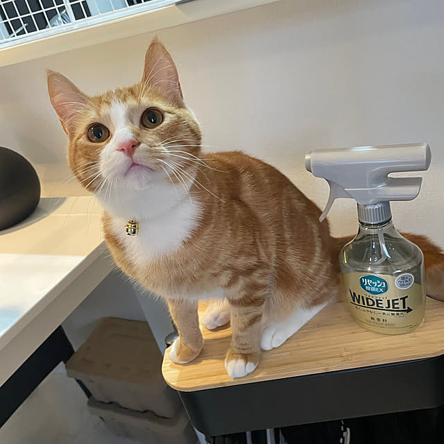 maimaiさんの部屋