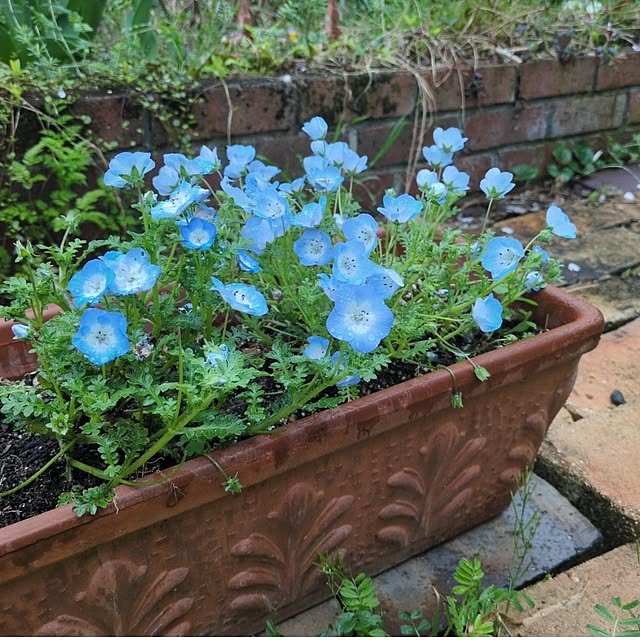 Rさんの実例写真