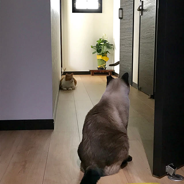73さんの実例写真