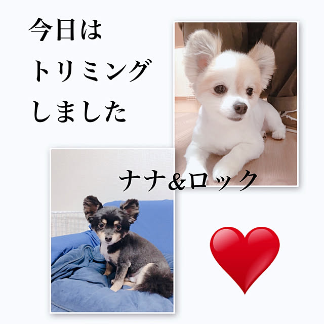 k.yuka29さんの実例写真