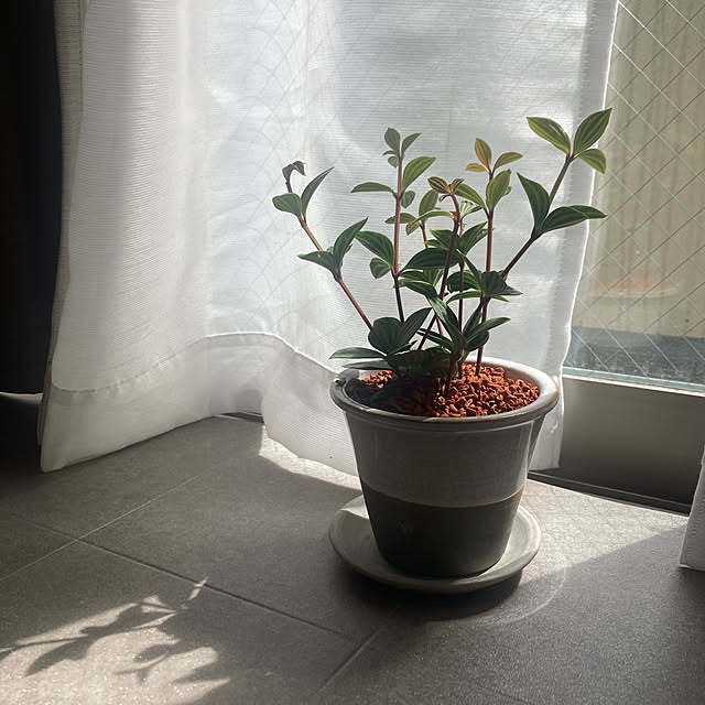 yanagiさんの実例写真