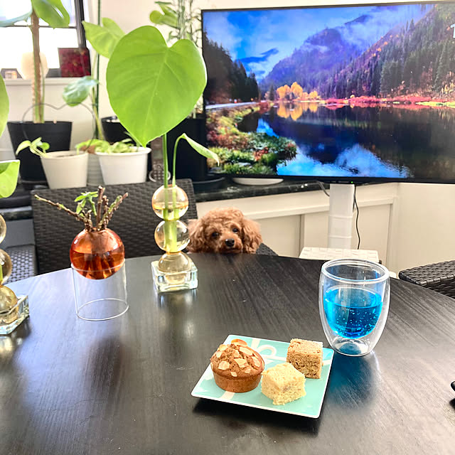 MOMOMAMAさんの部屋
