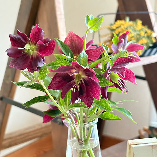 yukkoさんの部屋