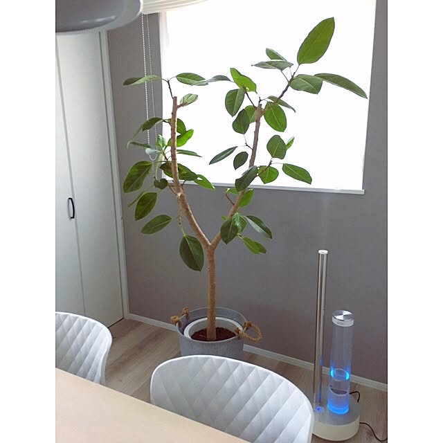 77poan99さんの実例写真