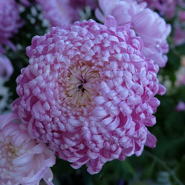 nhungk6aさんの部屋