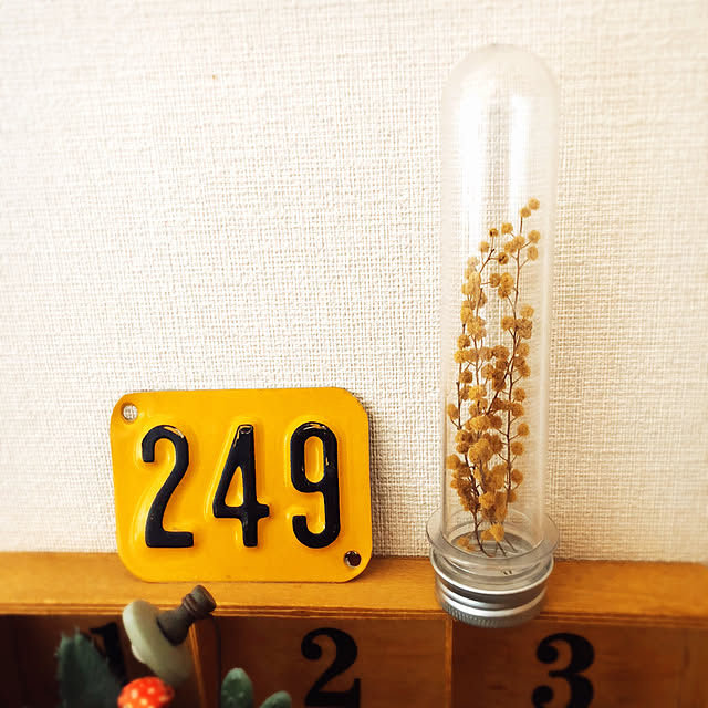 funyatoroさんの実例写真
