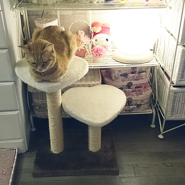asuminさんの実例写真