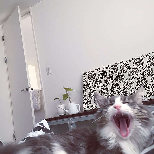 emさんの実例写真