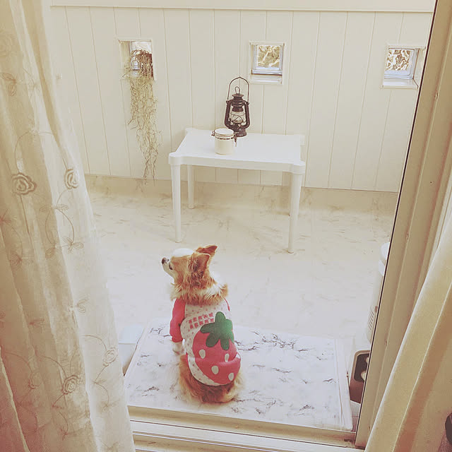 ma_mocha_naさんの実例写真