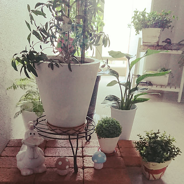 babiさんの実例写真