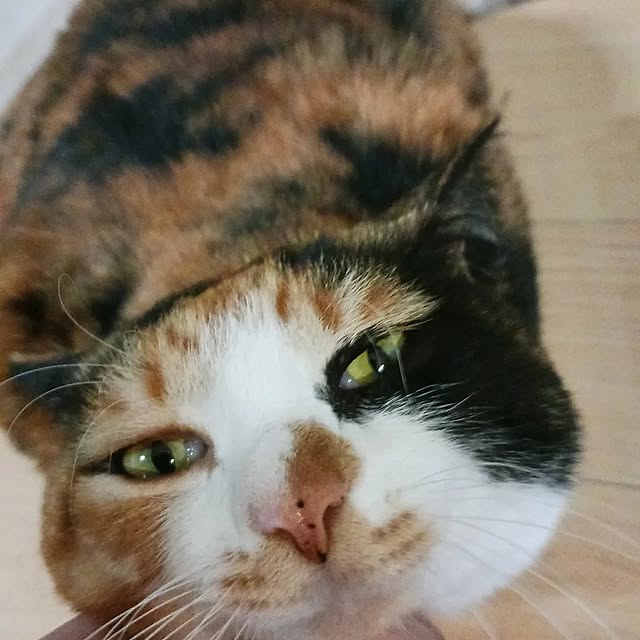 aiさんの部屋