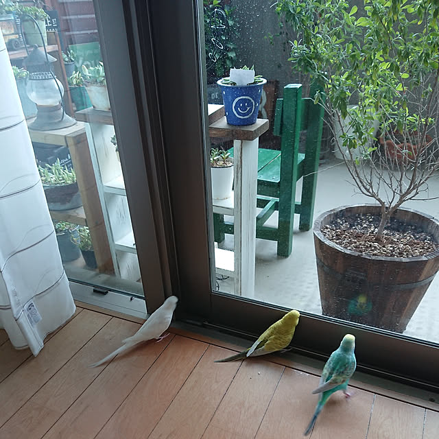 karinさんの実例写真