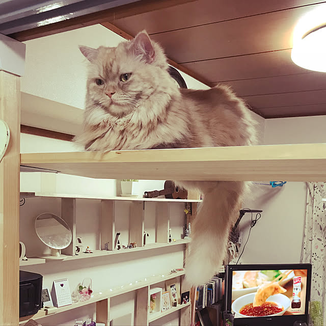 roseさんの実例写真