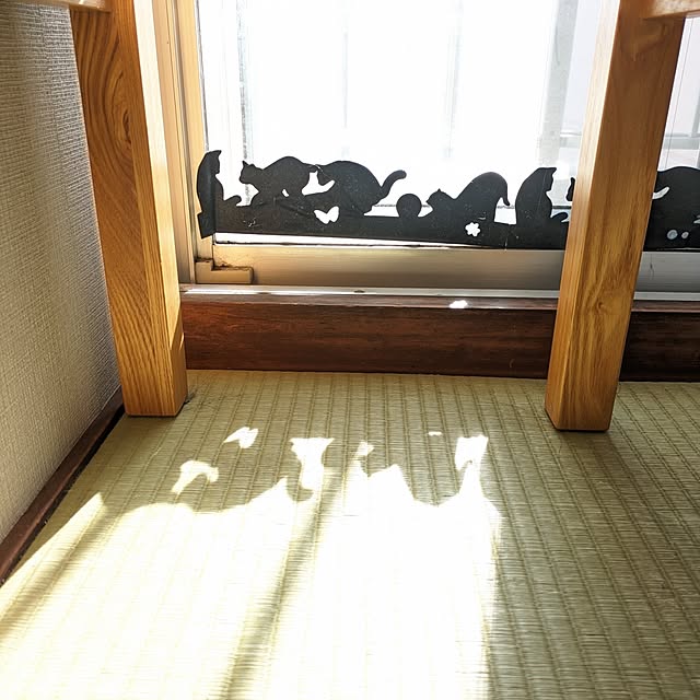 hihaさんの部屋