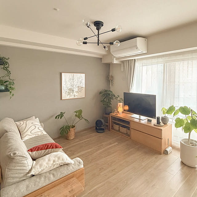 Anthuriumさんの部屋