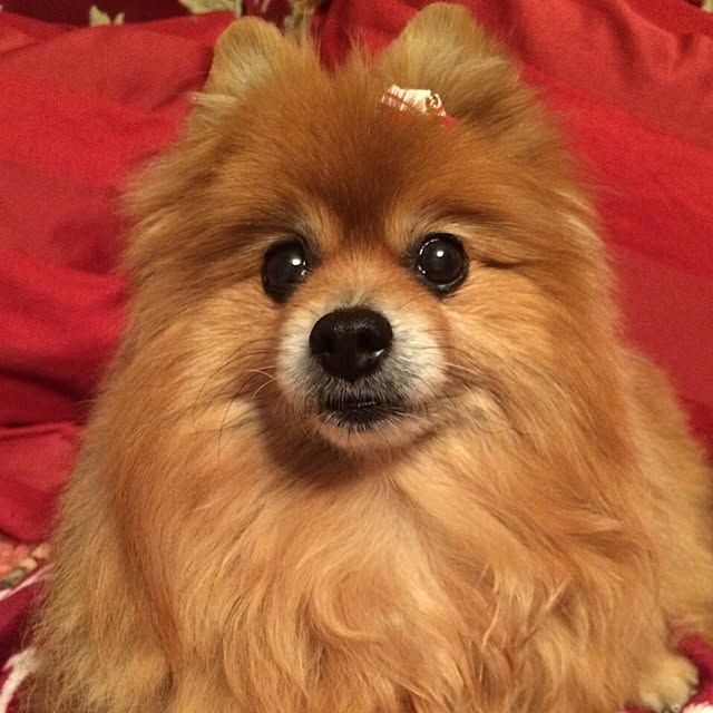 kanakさんの実例写真