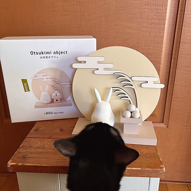 prelumoさんの部屋