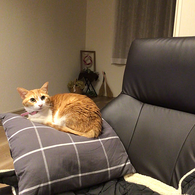 houenさんの実例写真