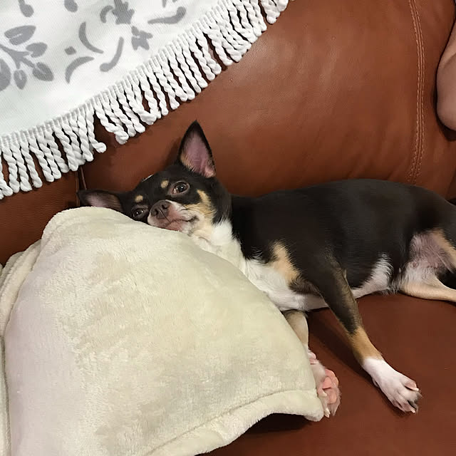 nacchintunnさんの実例写真