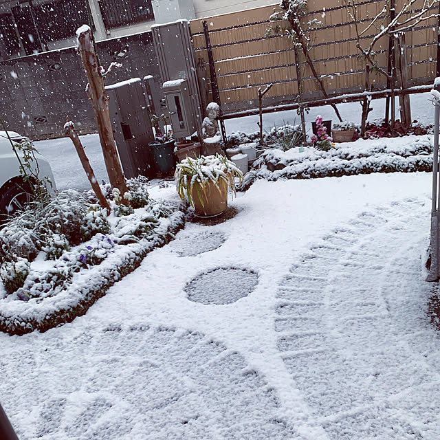 KYONさんの実例写真