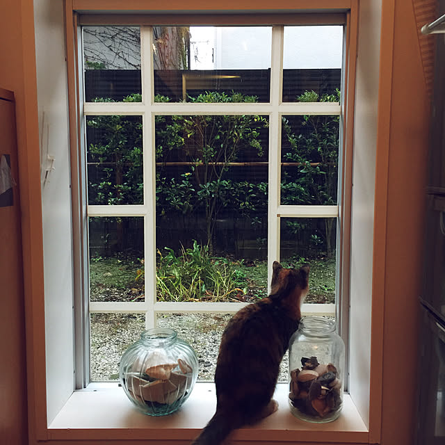 peach_catさんの実例写真