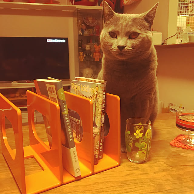 ikettenさんの実例写真