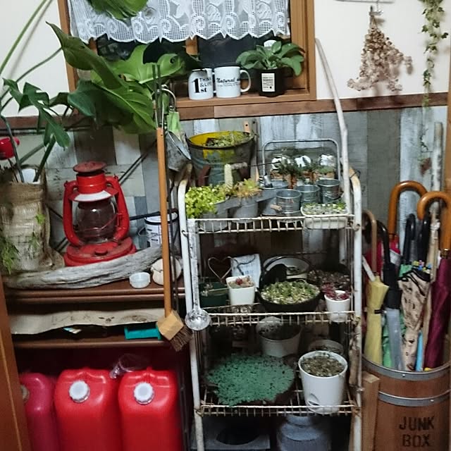 tikuwaさんの実例写真