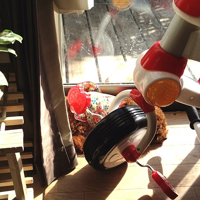 cocoさんの実例写真