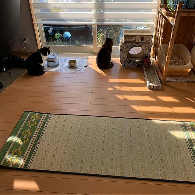 mohimikanさんの実例写真