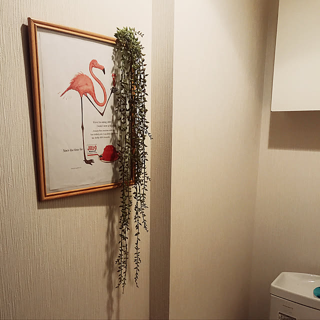 一人暮らし/ニトリ/多肉植物/バス/トイレのインテリア実例 - 2020-08-27 06:56:37