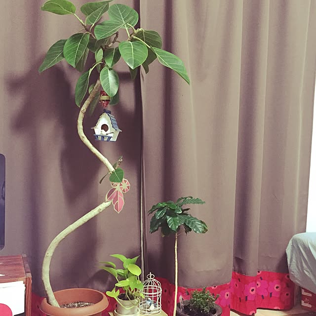 kan_chanさんの実例写真