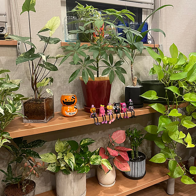 ikuzakさんの部屋