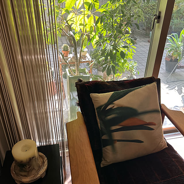 happy-sachiさんの部屋