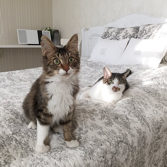 yuchiさんの実例写真