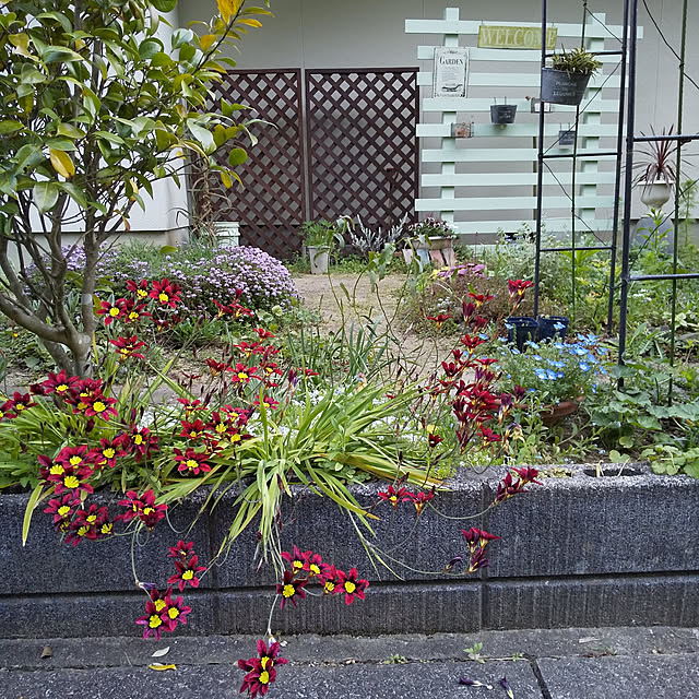 hiroさんの実例写真