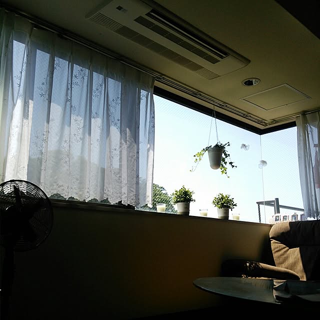 chiさんの実例写真