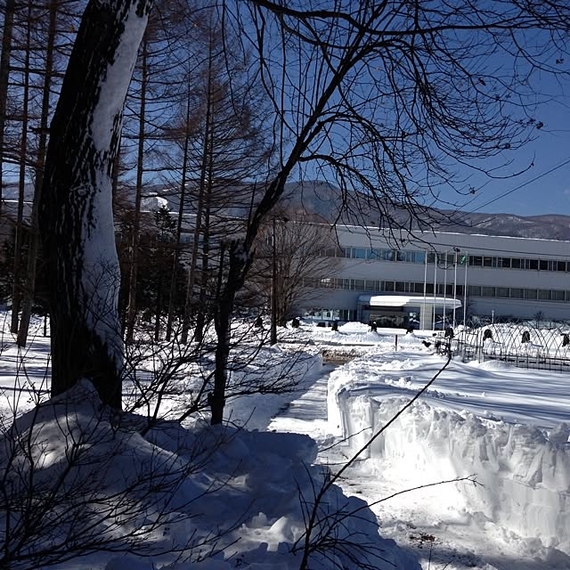 jnjnforesterさんの実例写真