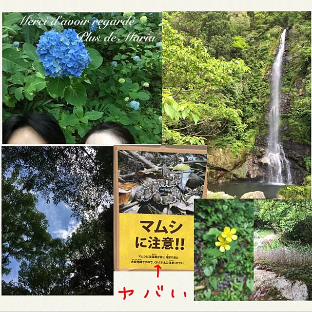 maria.rさんの実例写真