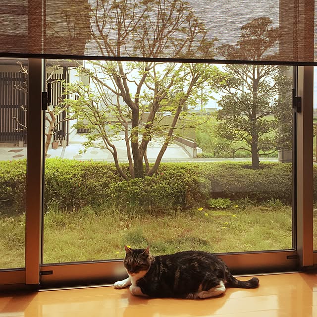 Chobi518さんの実例写真